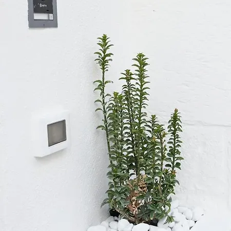 アパート Pietra Bianca Luxury